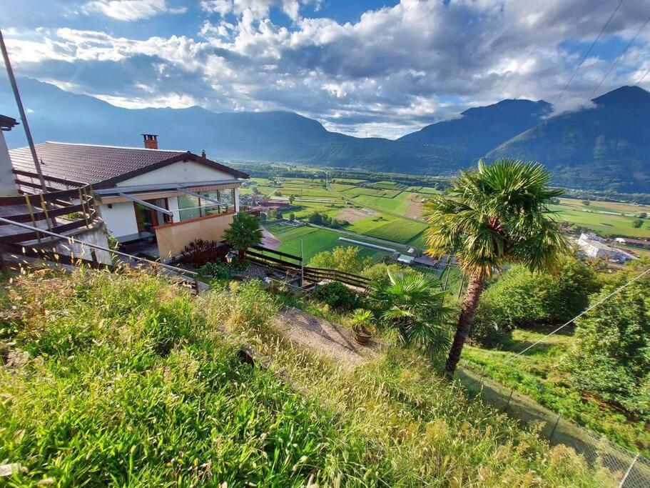 4-zi-wg Casa Sogno - Valle Mit Kamin. Alleinlage Im Rebberg! Agarone