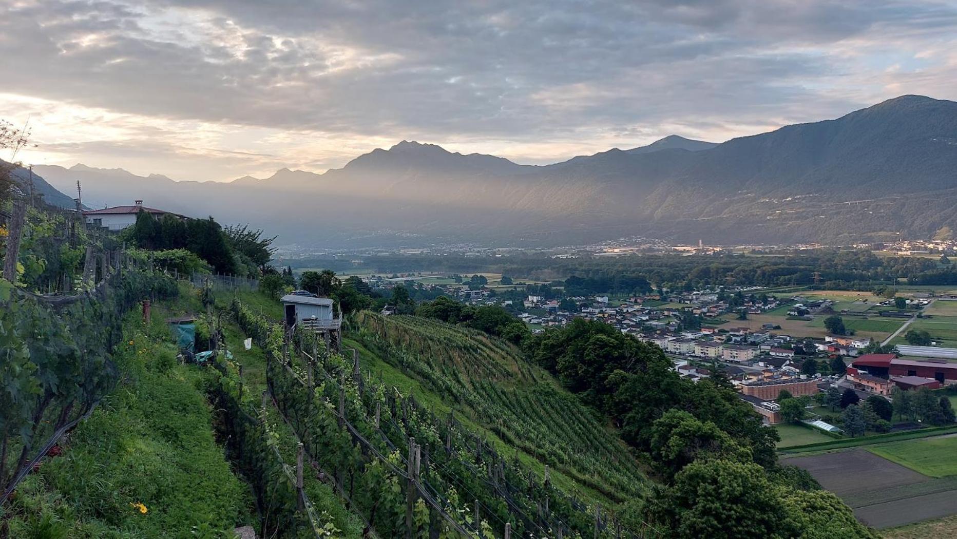 Appartamento 4-zi-wg Casa Sogno - Valle Mit Kamin. Alleinlage Im Rebberg! *