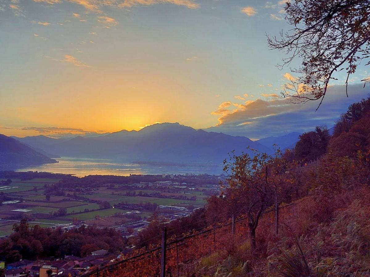 Appartamento 4-zi-wg Casa Sogno - Valle Mit Kamin. Alleinlage Im Rebberg!